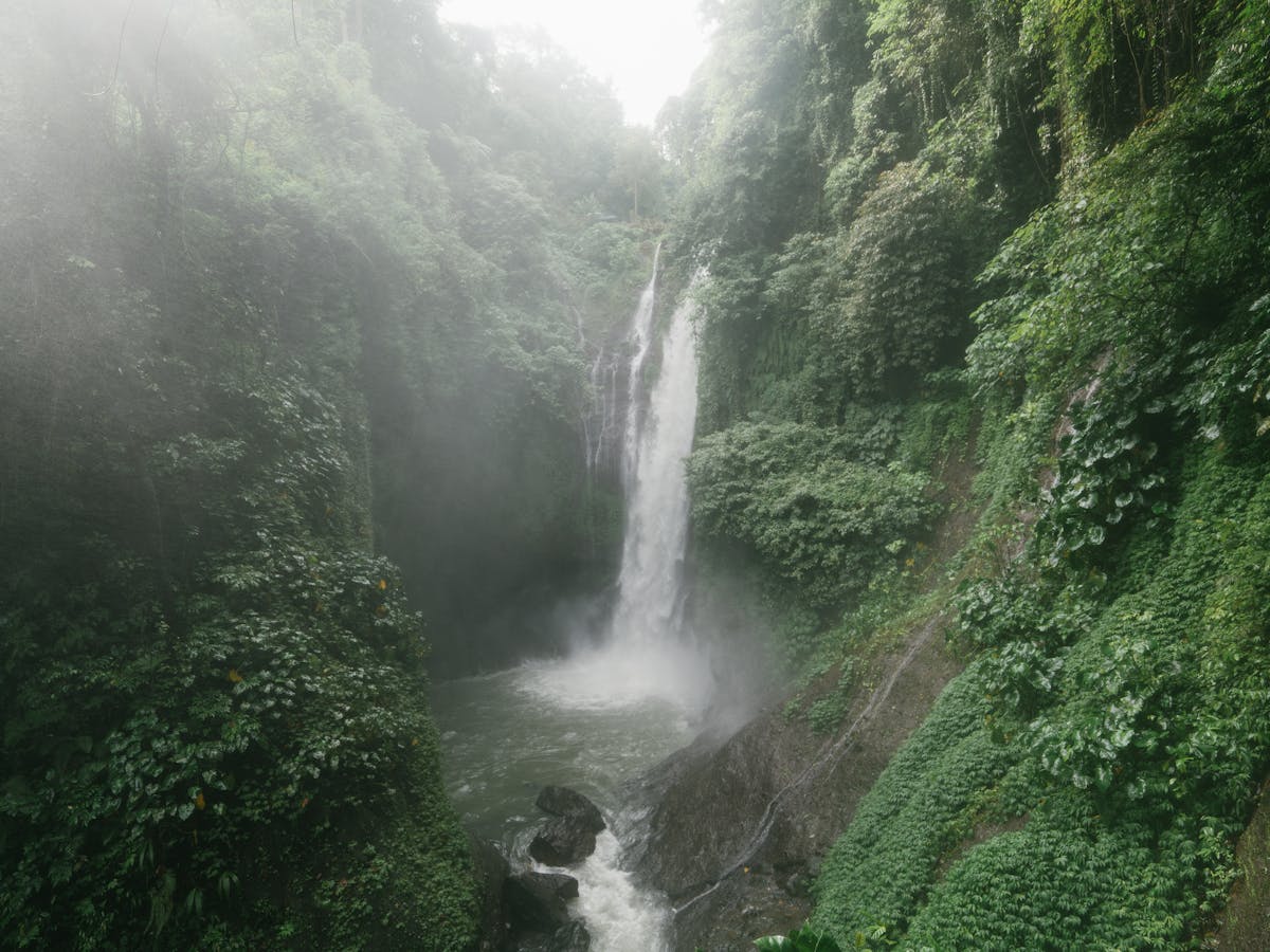 Calm inshore marsh at first light